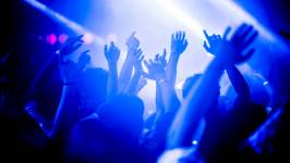 Paulo CARDINAL - Paulo Cardinal