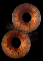 Gwenaele POIROT-ROZEC - Studio Heol